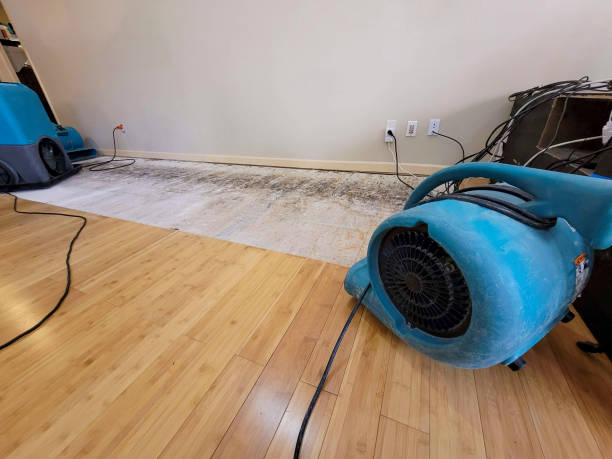 Professional Water Damage Repair technician working in Merced, CA